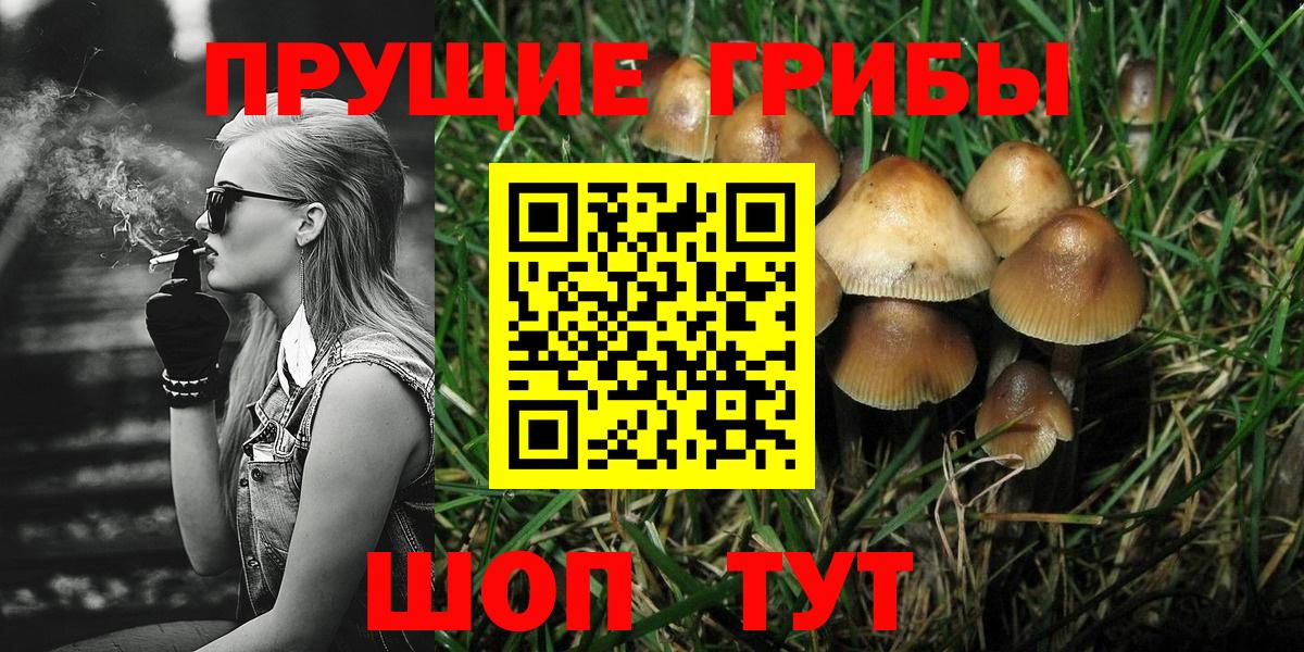 Псилоцибиновые грибы MAGIC MUSHROOMS  Вход с VPN  Отрадное  Галлюциногенные грибы MAGIC MUSHROOMS 