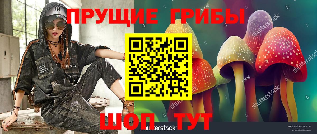 Псилоцибиновые грибы мицелий Отрадное